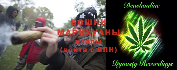 ешки Вяземский