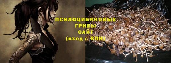 спиды Струнино
