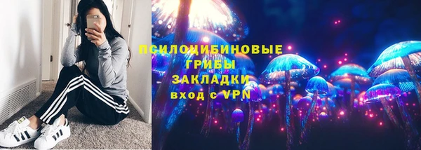 амф Белокуриха