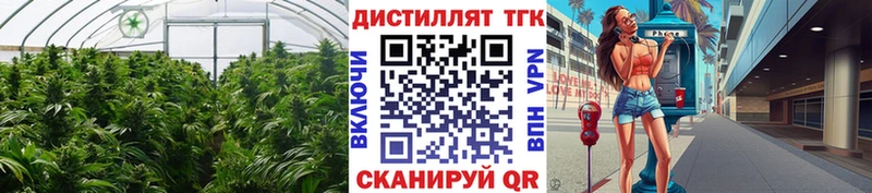 Дистиллят ТГК вейп  Шенкурск 